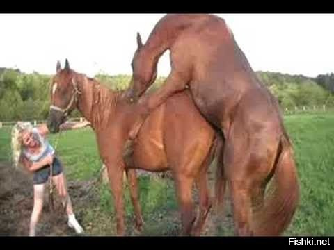 Порно На Телефон Бесплатно Лошадями