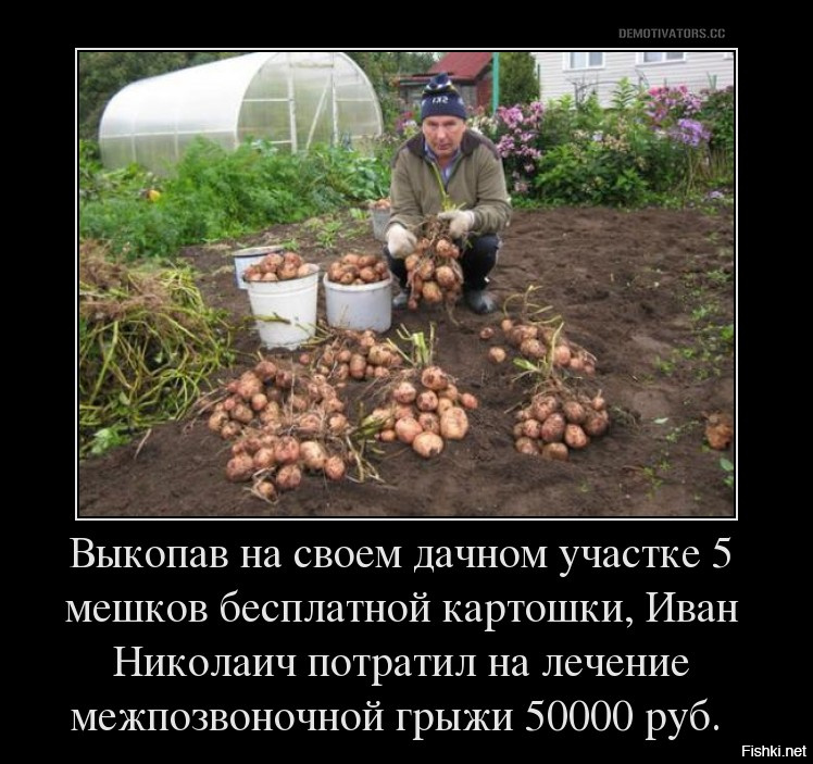 Выходные Огород Картинки