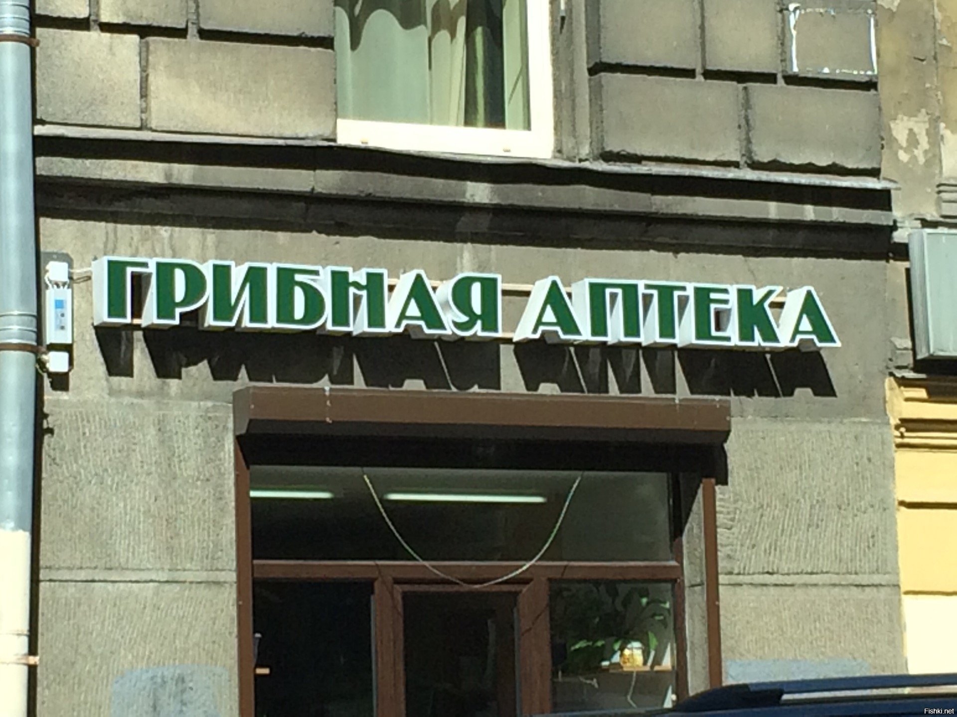 Магазины На 1 Владимирской Улице