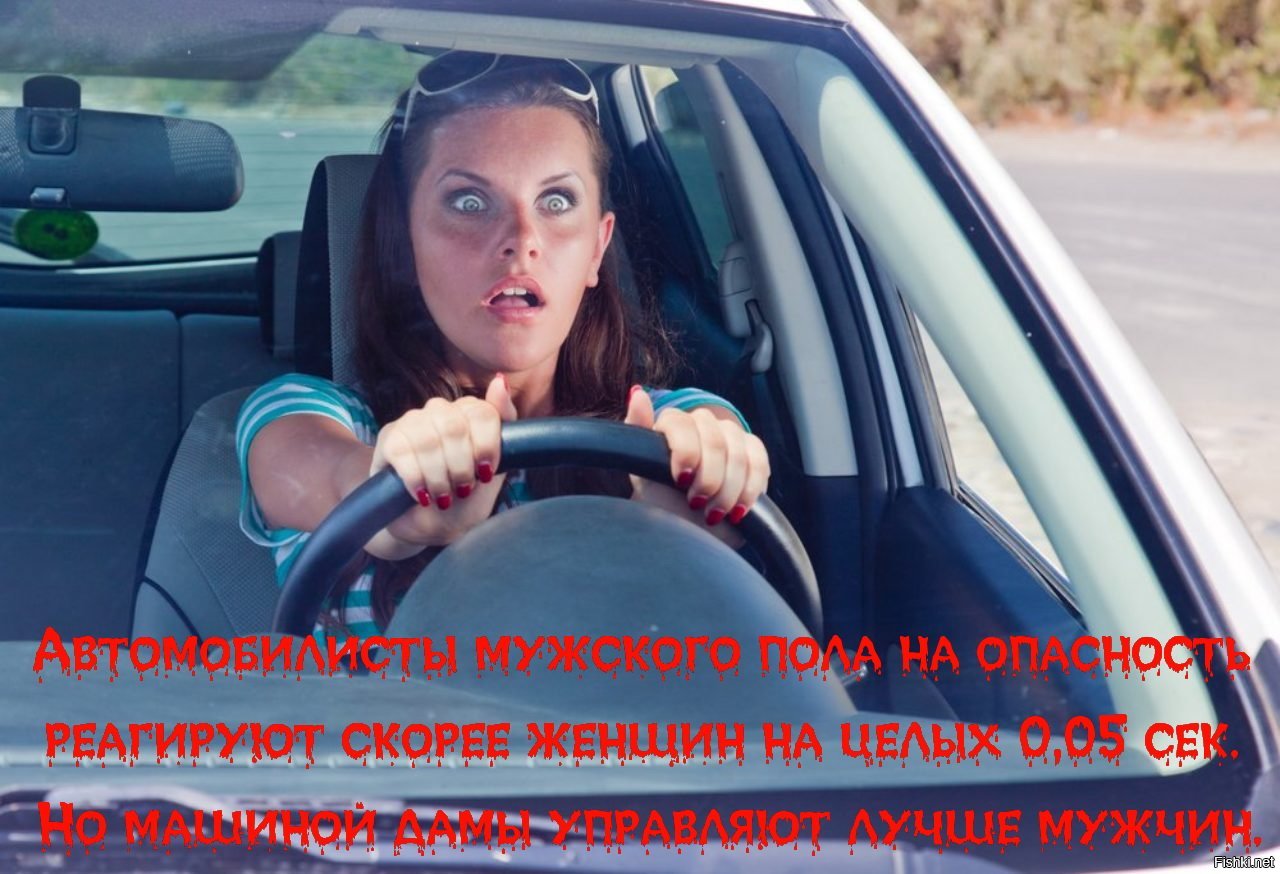 Мерилин Шугар сдаёт на права трахаясь в машине