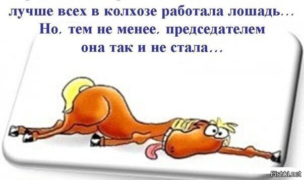 Смешные Картинки Недели