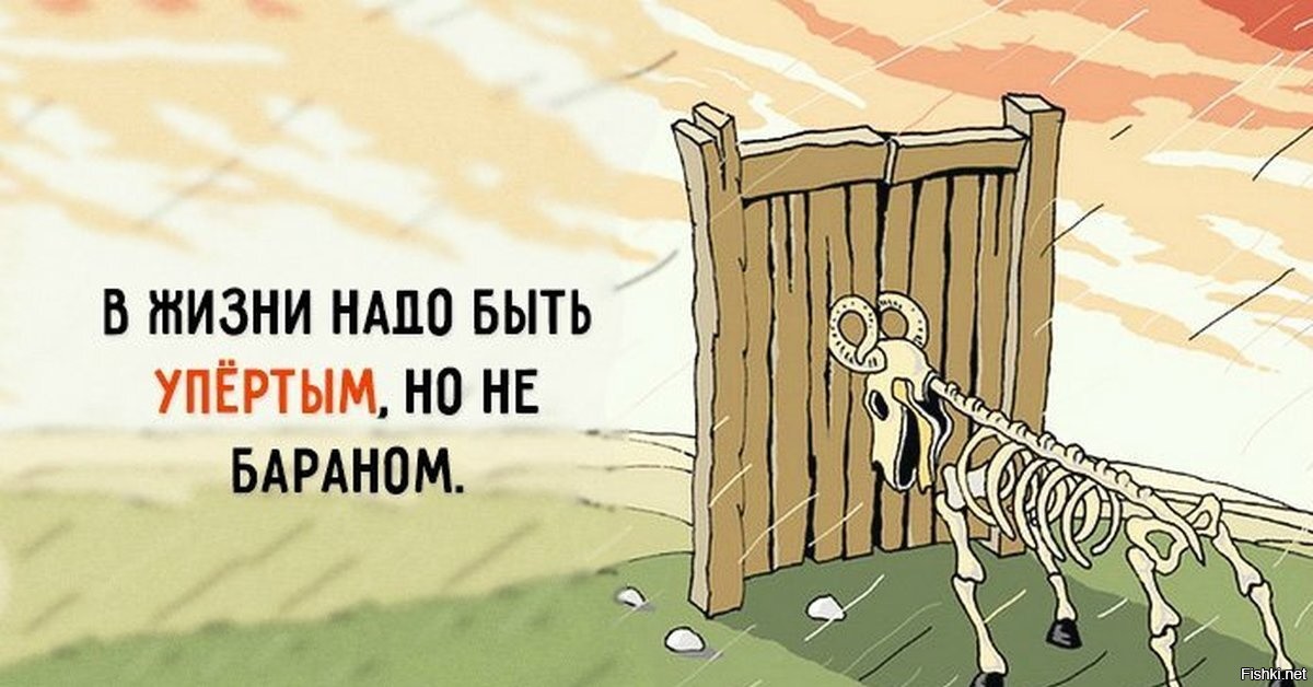 Мнительный Ты Стал Сидор Ох Мнительный Картинки