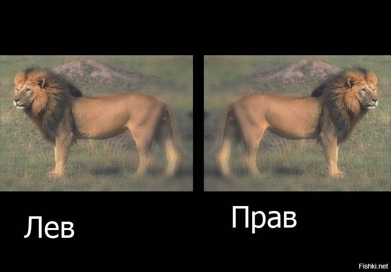 Где Лево Где Право На Фото Где Лево Где Право На Фото