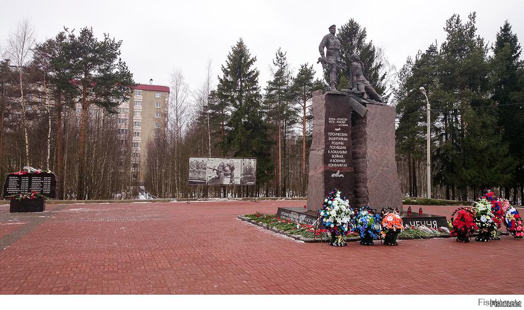 Город сертолово ленинградской области фото