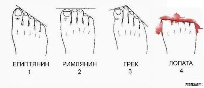 Виды стоп. Типы пальцев на ногах лопата. Стопа римлянина. Ноги римлян. Грек римлянин лопата.