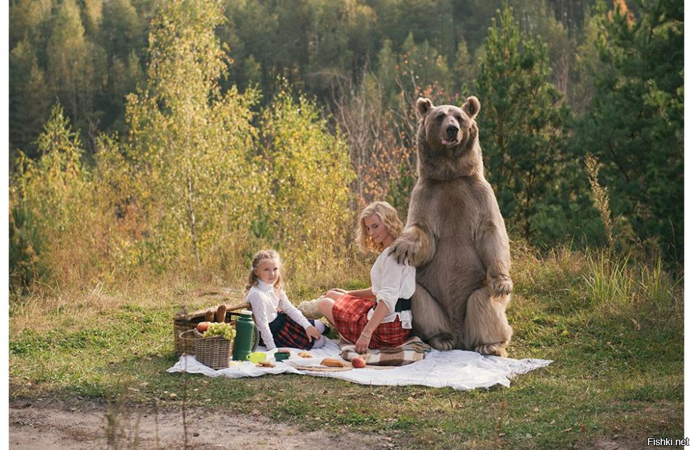 Фотосессия с медведем в лесу