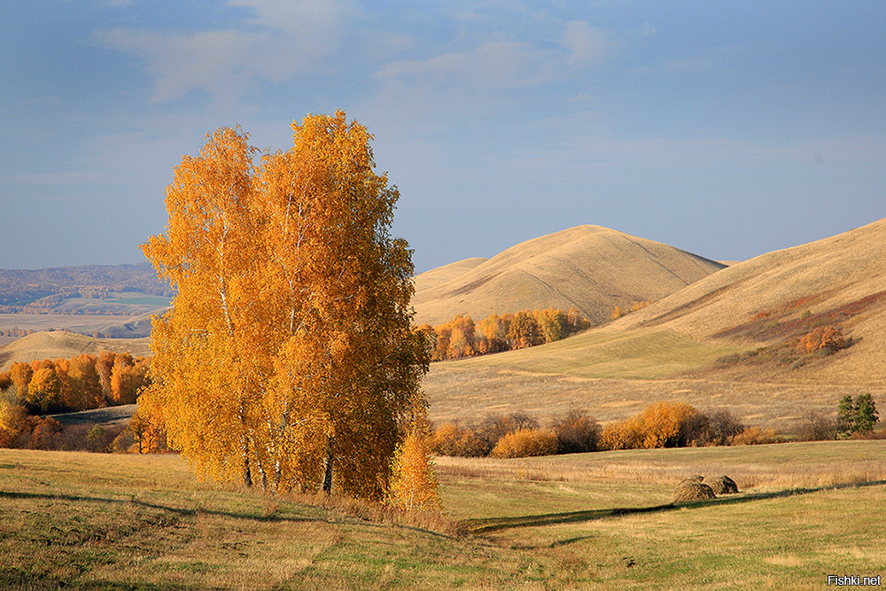 Природа оренбургской области фото