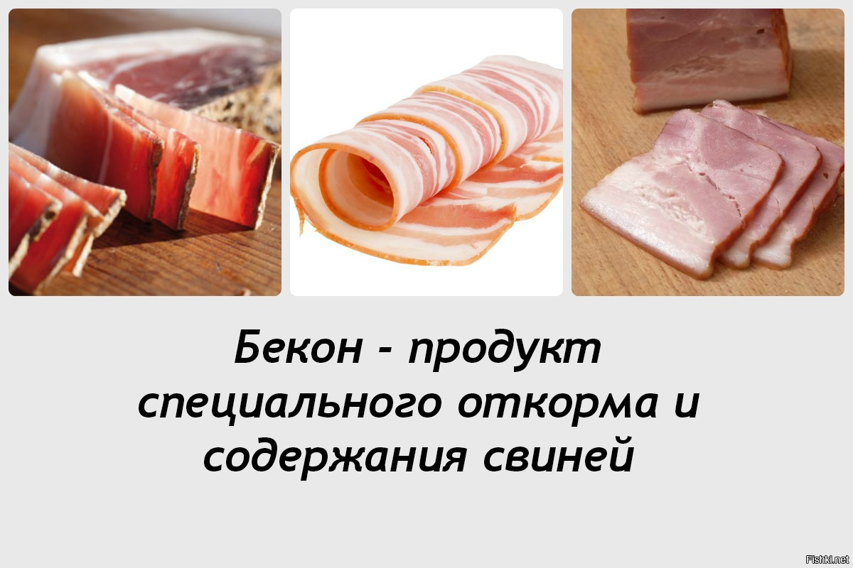 Вьетнамское сало. Мясной откорм свиней. Беконный откорм свиней. Беконный поросенок. Откорм свиней (мясной, беконный)..