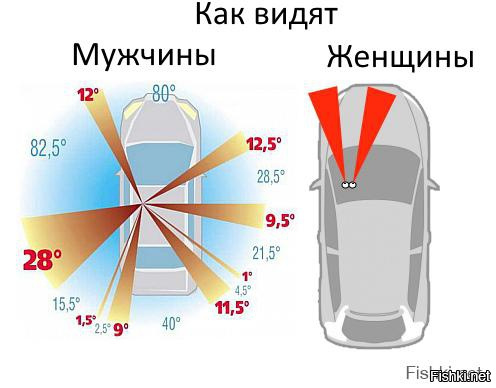 Цвета для мужчин и женщин картинка