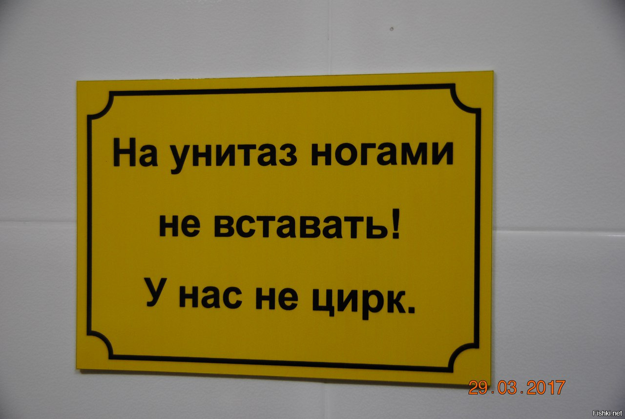 Вставать на унитаз ногами не вставать картинки