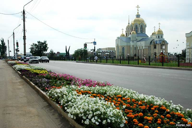 Население города россошь воронежской. Россошь Воронежская область. Город Россошь. Город Россошь Воронежская. Природа города Россошь.