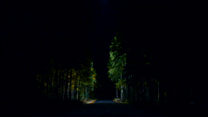 Gif картинки ночь. Ночной лес gif. Ночной лес анимация. Лес ночь гиф. Лес в ночи анимационные.