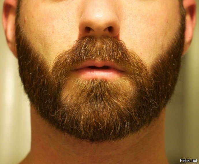 В чем могут помочь усы и борода