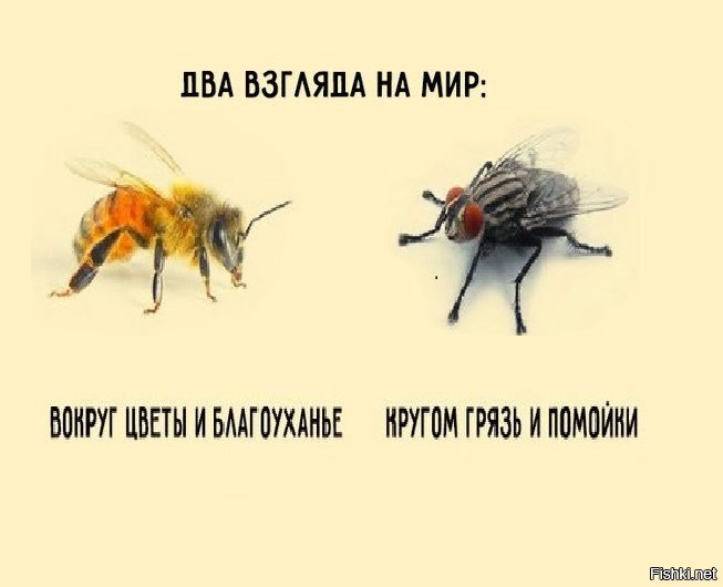 Два взгляда на мир картинка