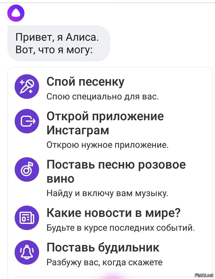 Алиса скажи пожалуйста