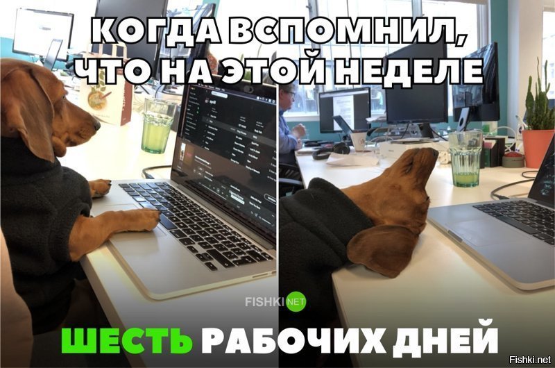 Второй день на работе картинки