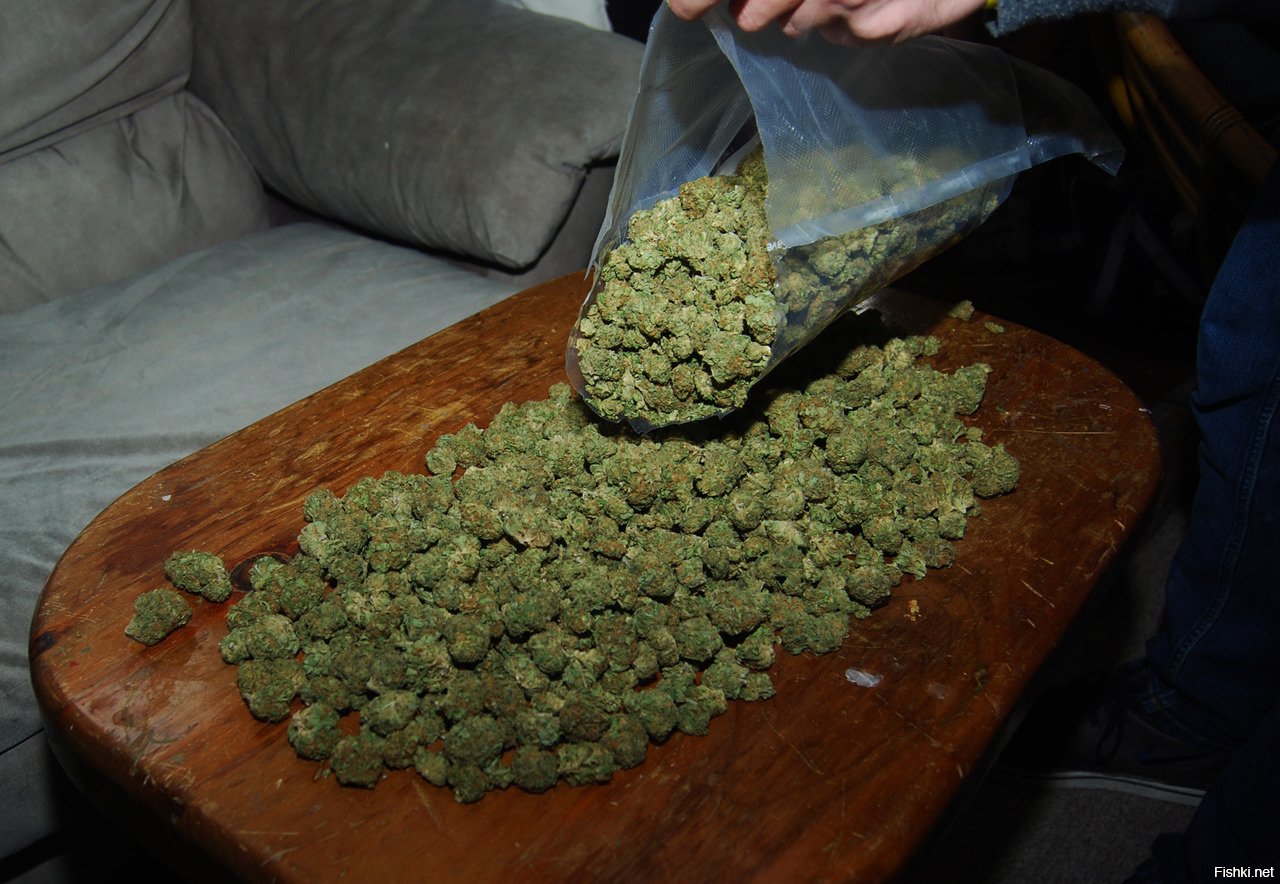 Виды шишек наркотики марихуана включена в список 1