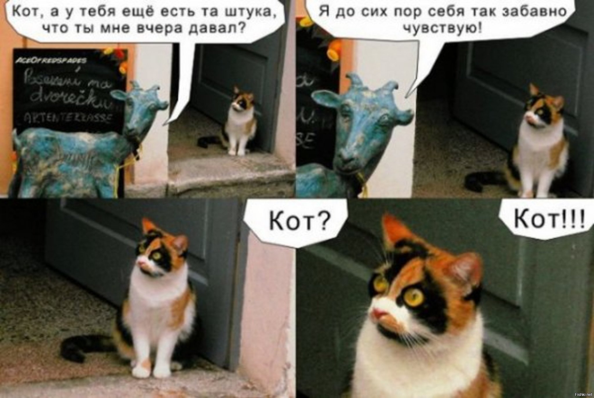 Кот мемы с надписями