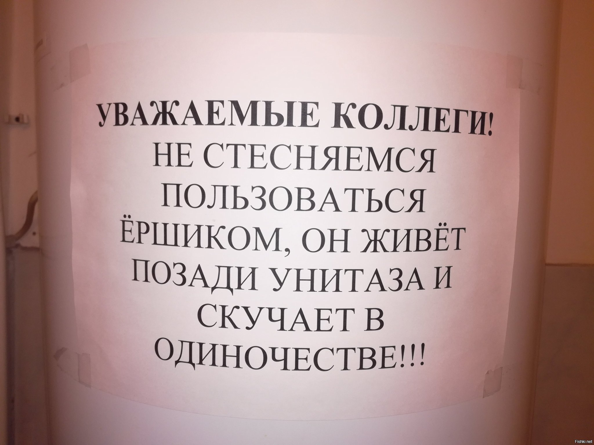 Инструкция по использованию туалетного ершика в картинках