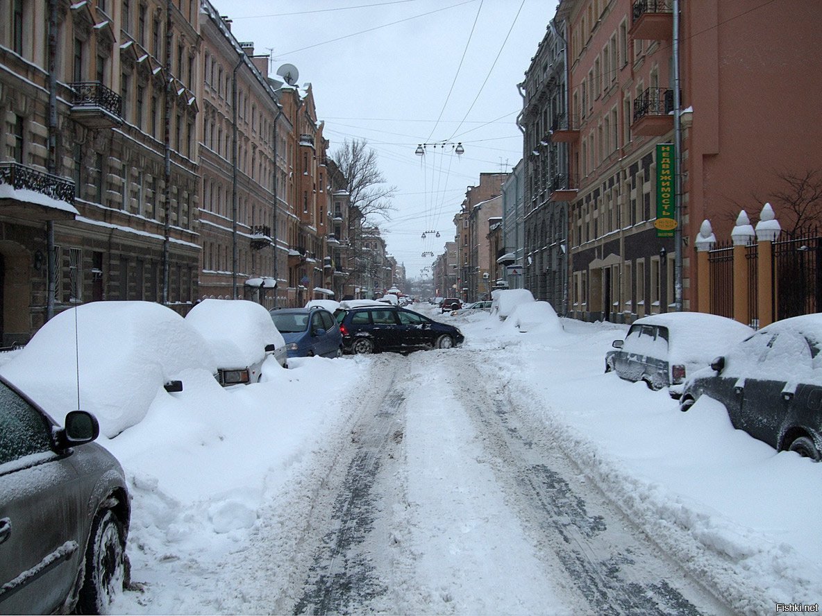 Снежный Покров в Санкт-Петербурге