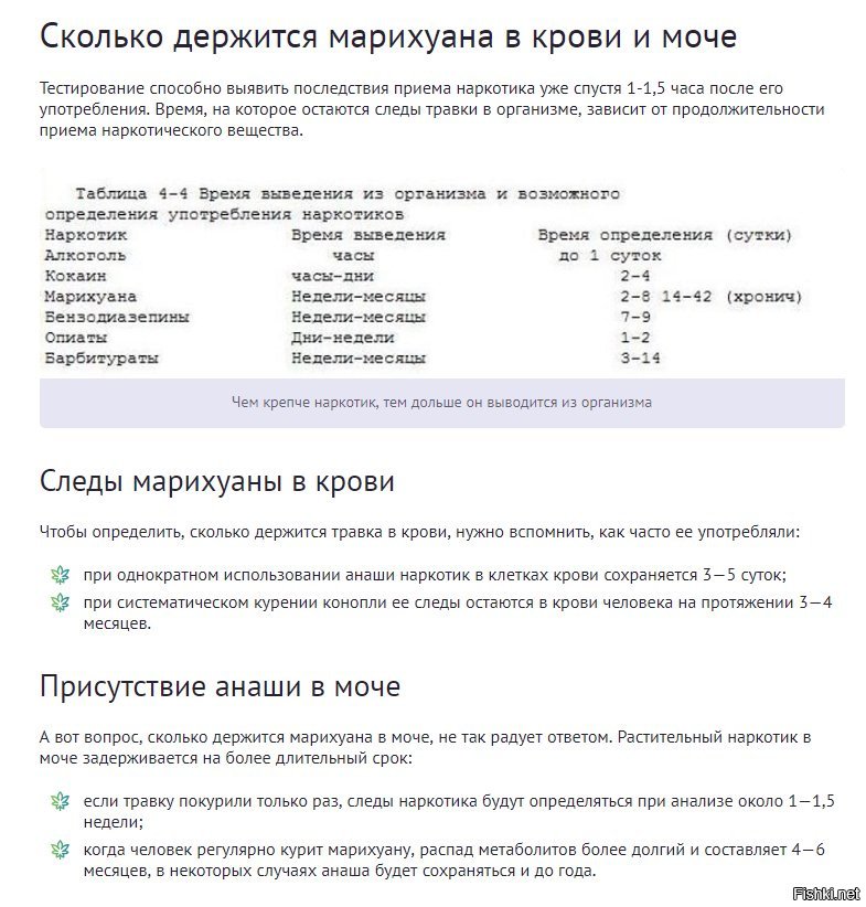 Сколько держится гашиш в организме человека биотехника семена официальный сайт интернет магазин москва