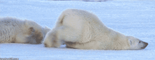 a2fd78ee2a74d27dfcc3fab7ef7355e4.gif