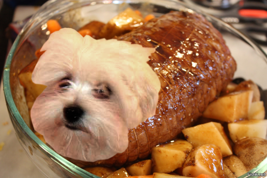 Собакам можно жареное. Корейское блюдо из собаки. Блюда из собаки корейская кухня.