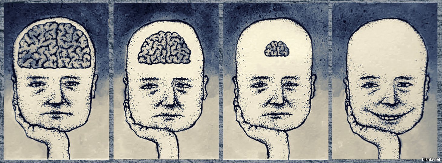 Мозг умного и глупого человека