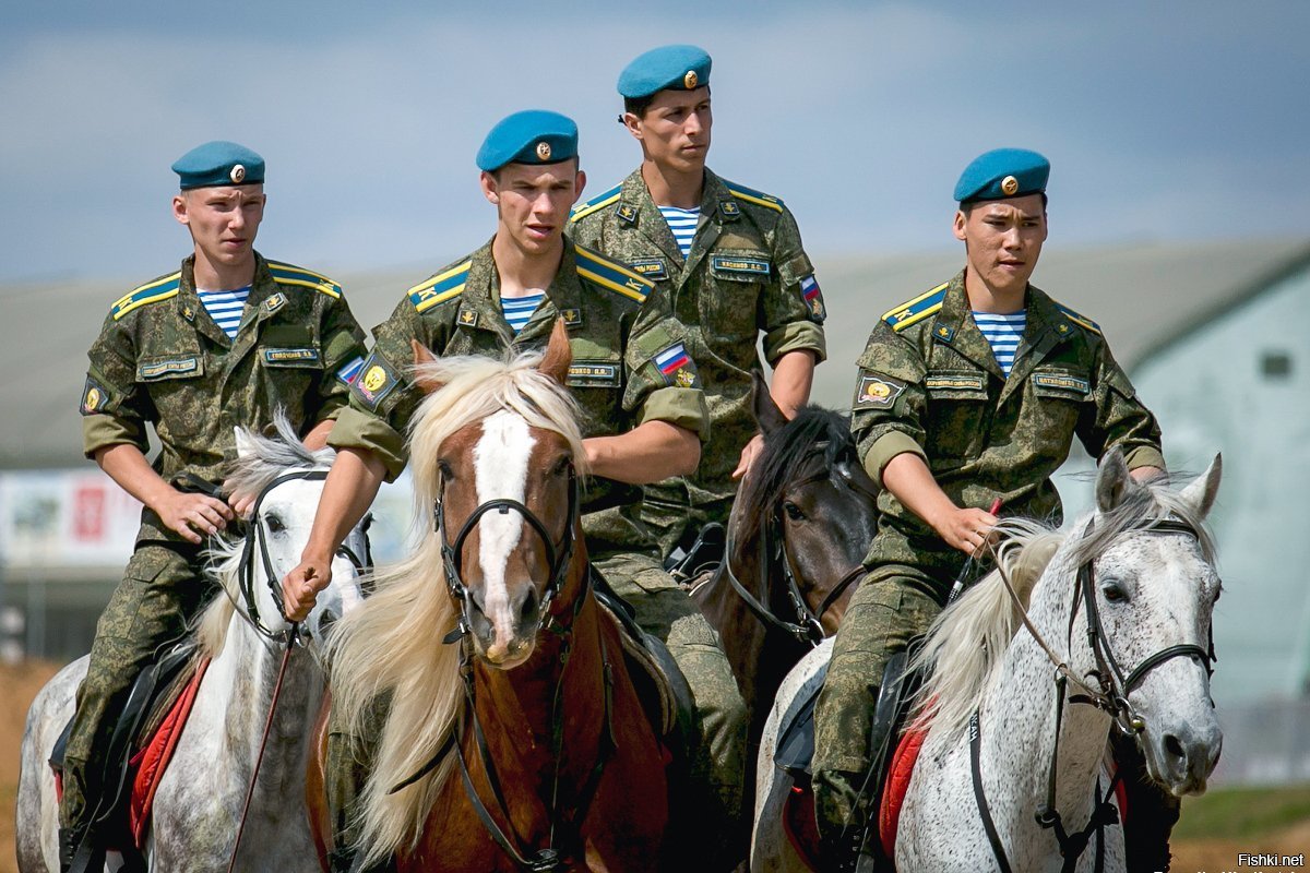 Военные лошади фото