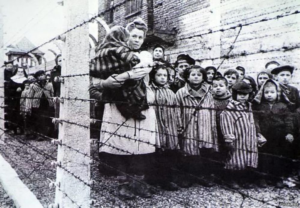 Освобождение узников концлагерей фото