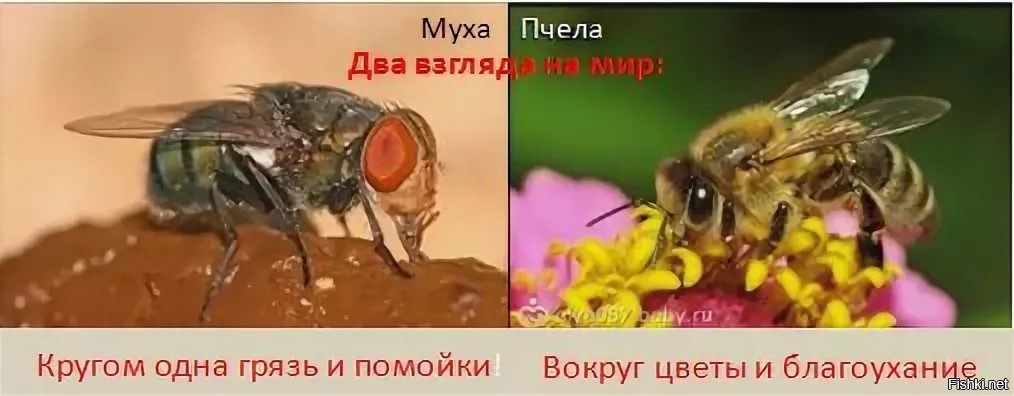 Два взгляда на мир картинка