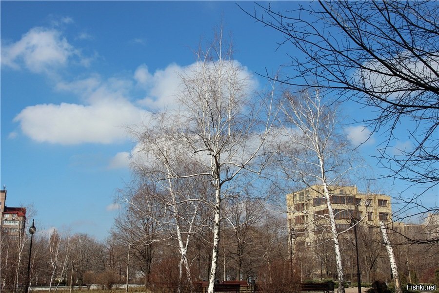 Весенний Донецк. В Донецке солнечно.