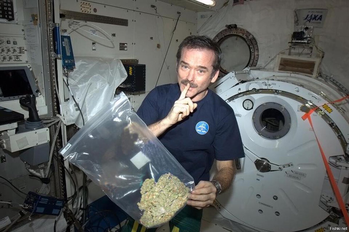 космонавт с марихуаной