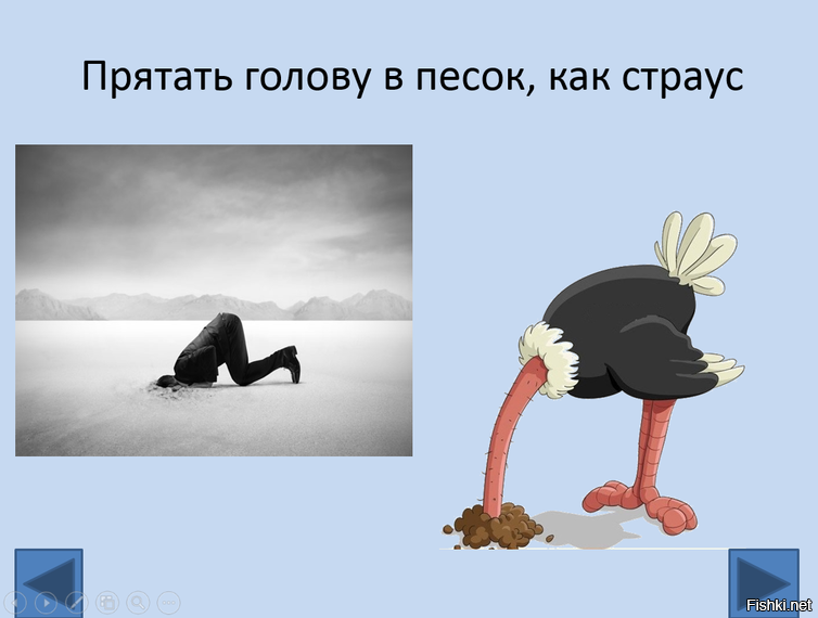 Голову в песок. Страус прячет голову в песок. Страус голову в песок. Прятать голову в песок. Иллюстрация прятать голову в песок.