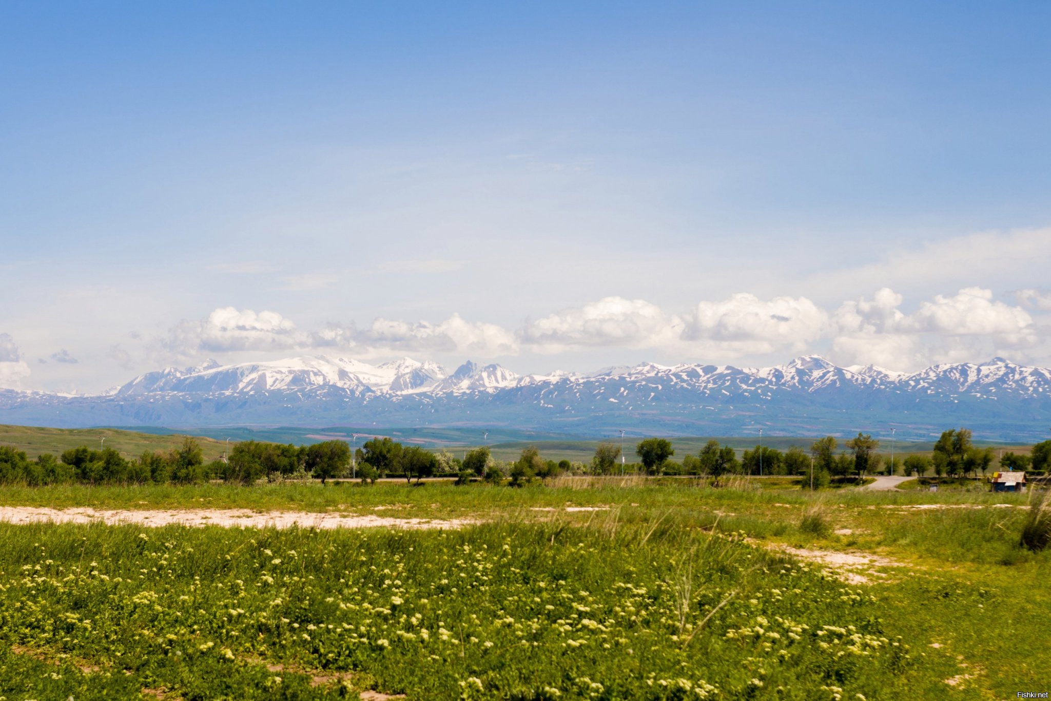 природа северный казахстан