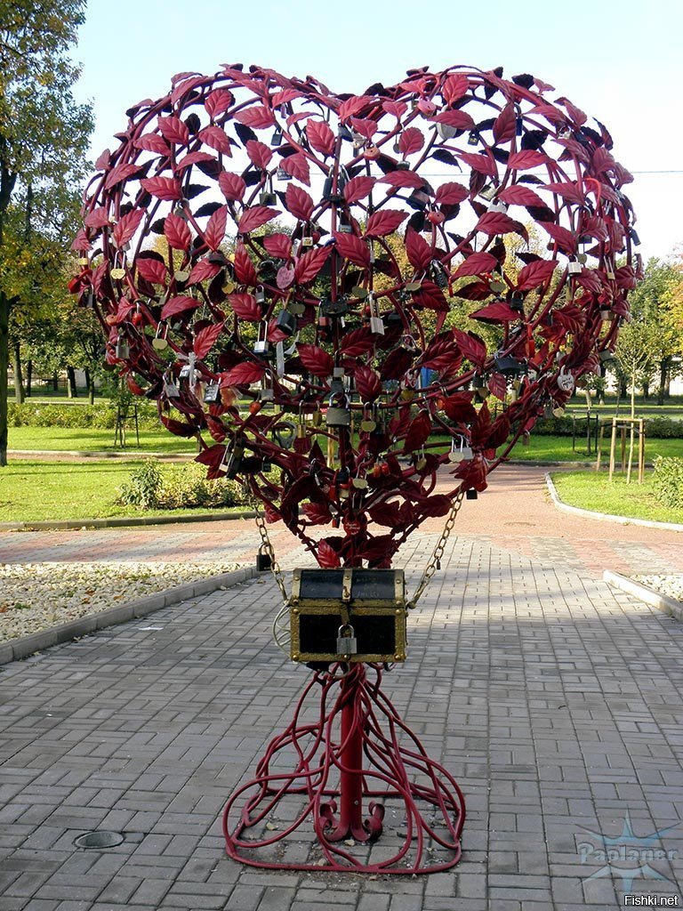 Фото дерево в форме сердца