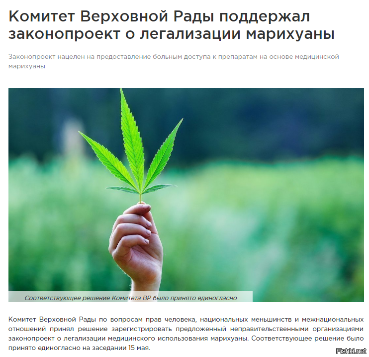 Закон казахстана о марихуане марихуана вызывает ли привыкание