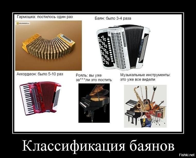 Баян смешная картинка