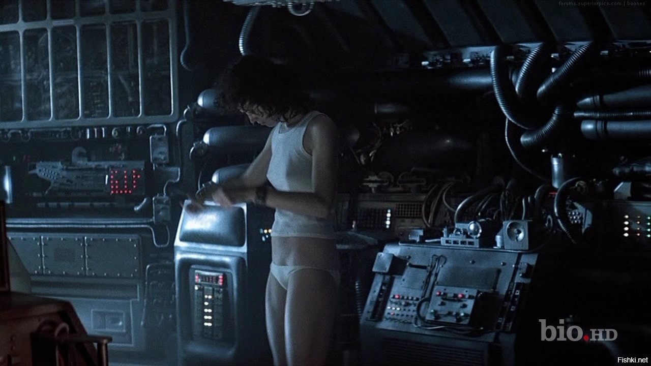 Ripley underwear