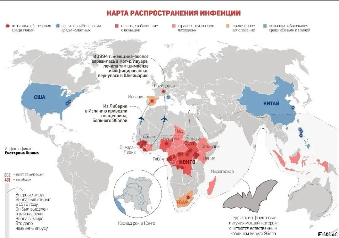 Территория распространения заболеваний называется. Карта распространения Эболы в мире. Лихорадка Эбола карта распространения. Вспышки Эболы карта.