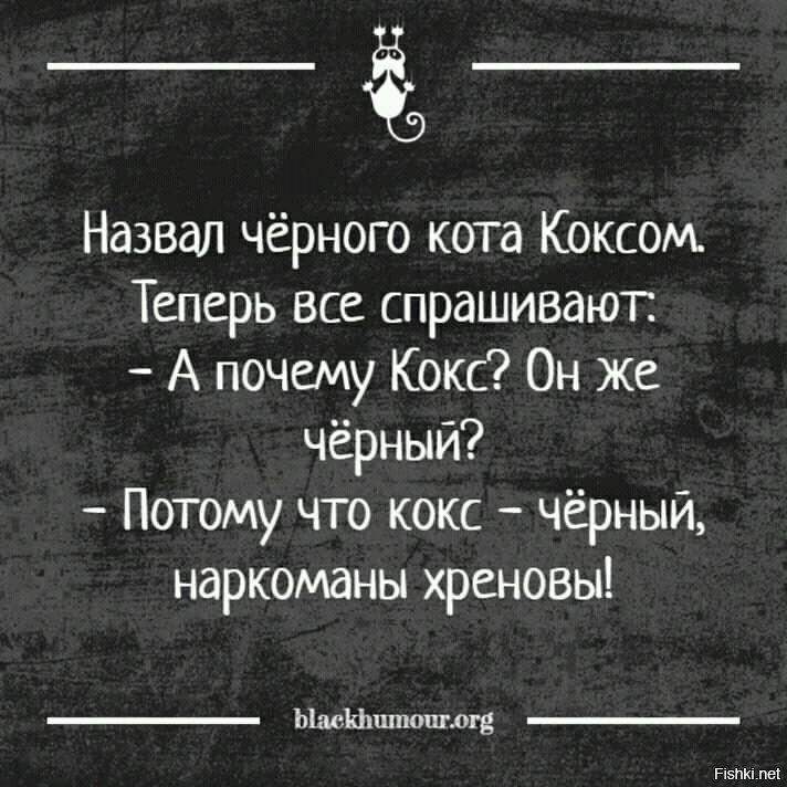 Навай черный. Назвал черного кота коксом. Анекдот про чёрного кота кокса. Потому что кокс черный.