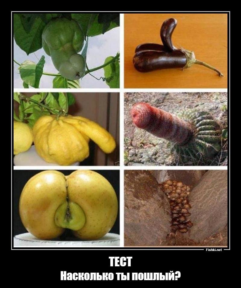 Большие Предметы Фото