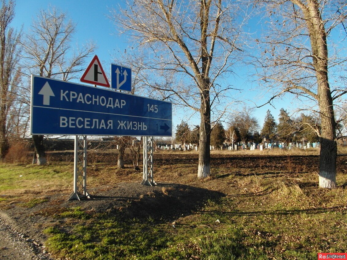 Веселое краснодарский. Хутор веселая жизнь Павловский район Краснодарский край. Указатель веселая жизнь Краснодарский край. Веселая жизнь Краснодарский край кладбище. Весёлая жизнь посёлок в Краснодарском крае.