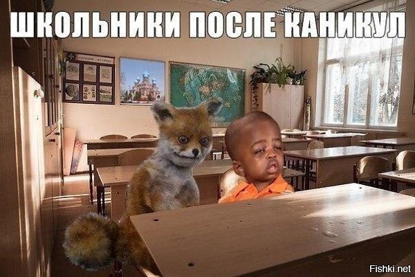 Последний учебный день картинки прикольные смешные