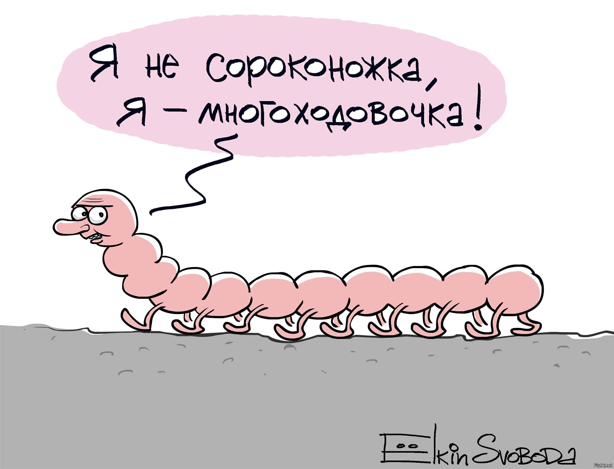 Большое количество ходов. Шутка про сороконожку. Мемы про сороконожку. Смешная сороконожка. Анекдот про сороконожку.