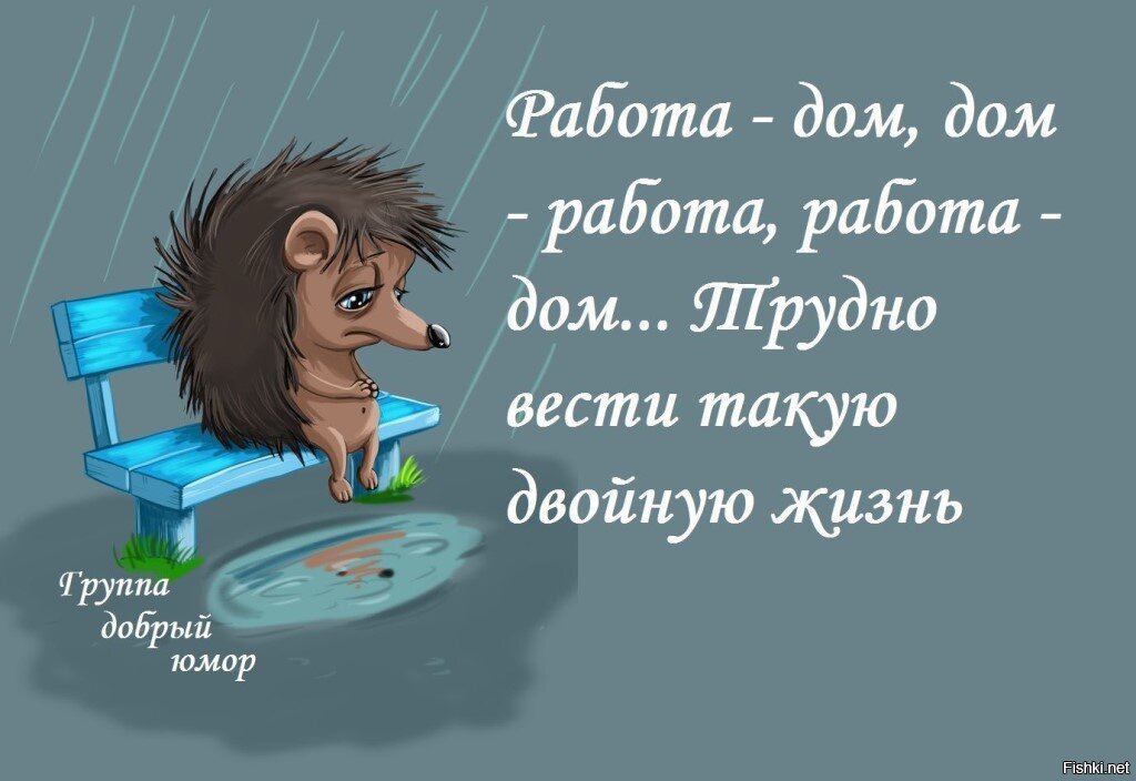 Моя стабильная жизнь дом работа в картинках