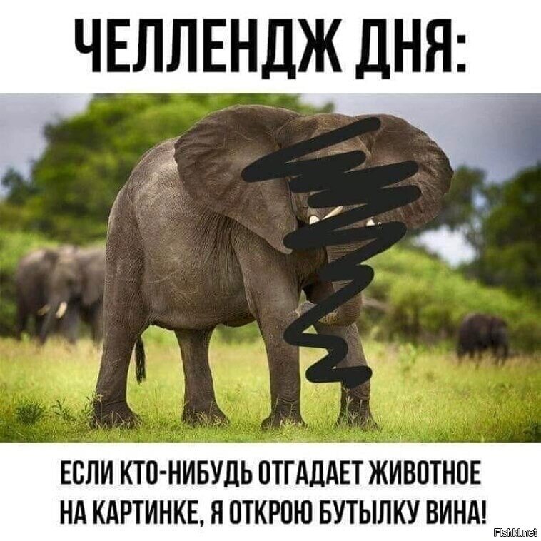 Кто здесь смешные картинки