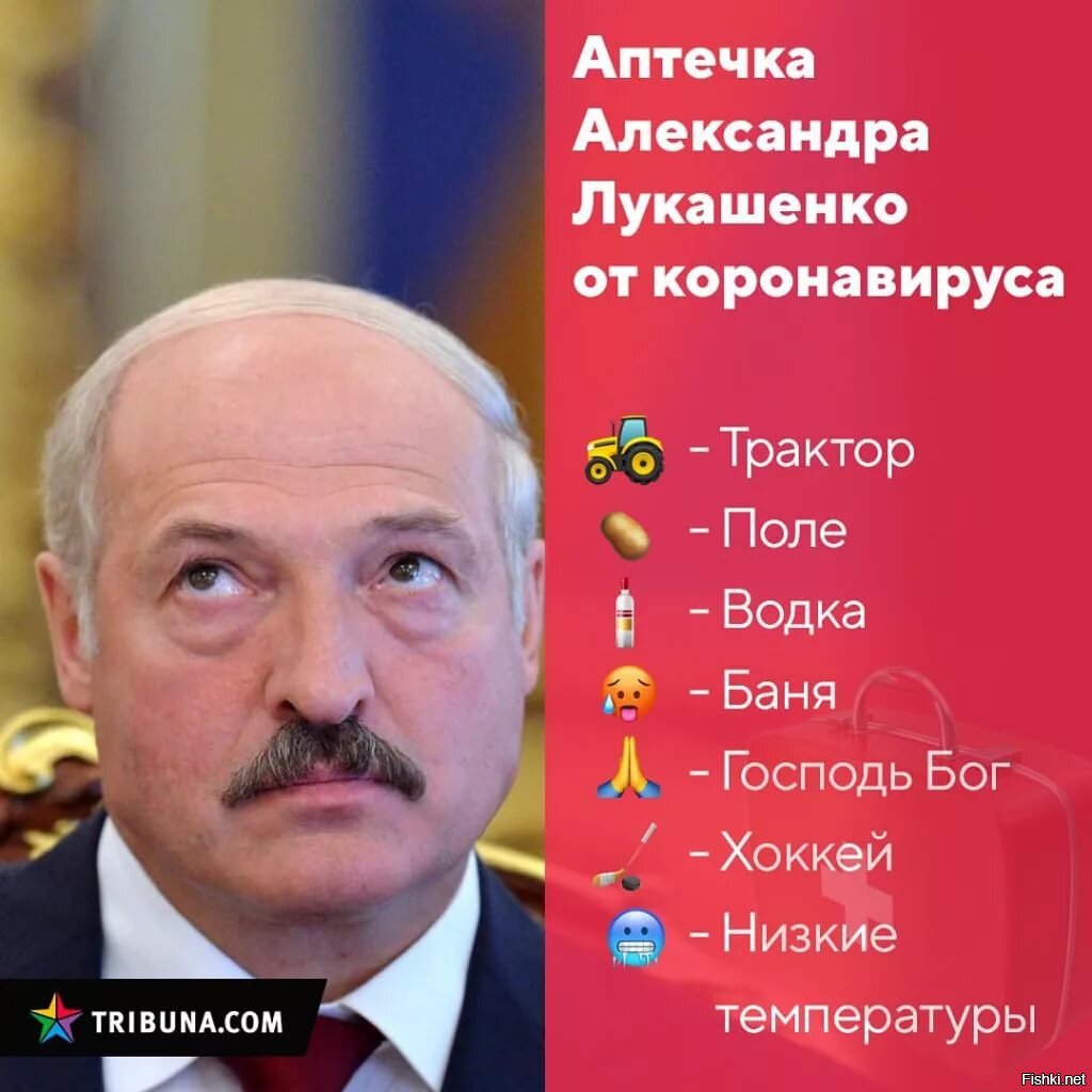 Прикольные картинки лукашенко