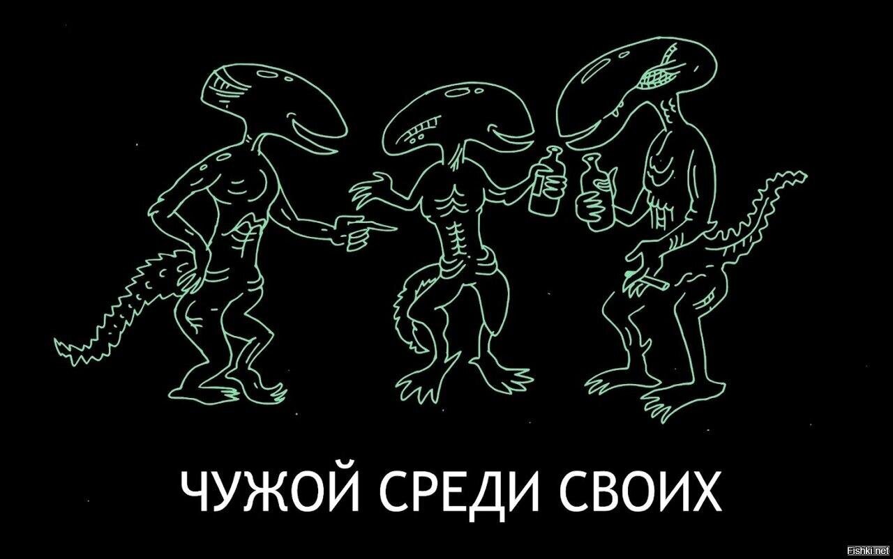 Пицца и несут нас похожие черти по просторам чужой земли