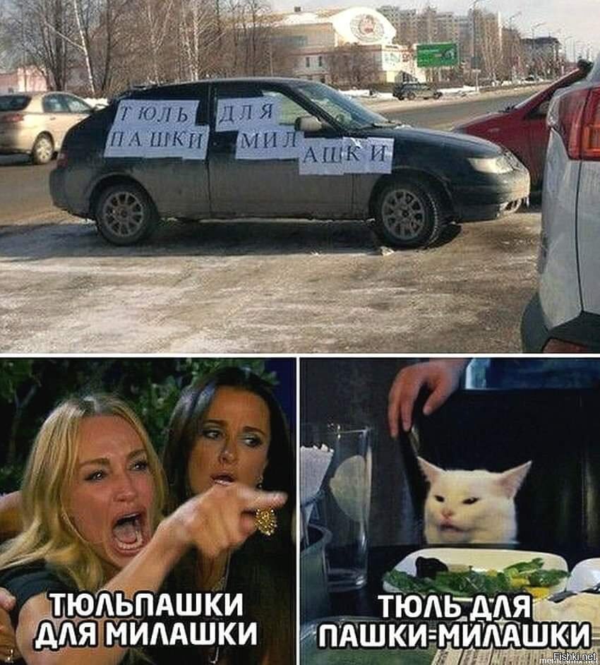 Мем с котом и девушками и надписями